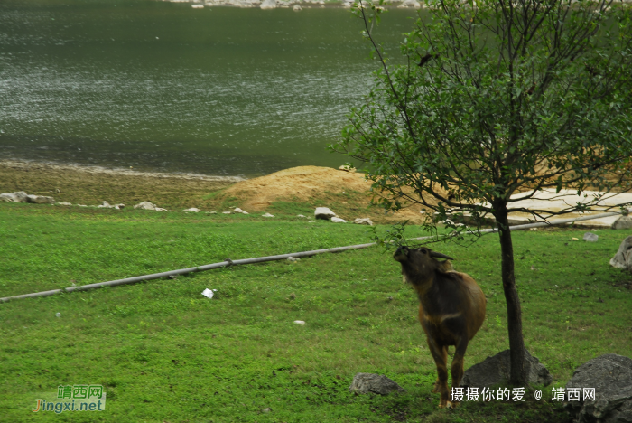 重游念诺水库 - 靖西网 - 第3页