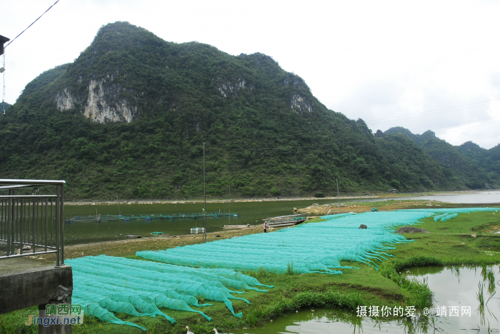 重游念诺水库 - 靖西网 - 第3页