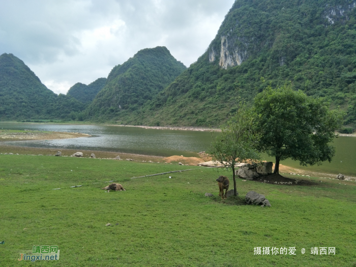 重游念诺水库 - 靖西网 - 第4页