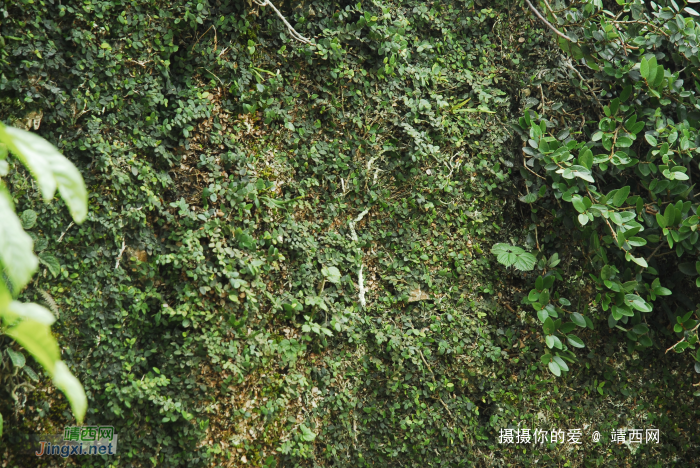 重游念诺水库 - 靖西网 - 第4页