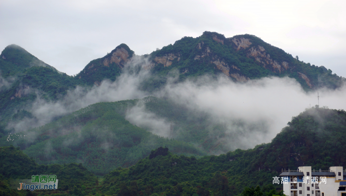 雨后的云雾山,仙境般存在人间。 - 靖西网