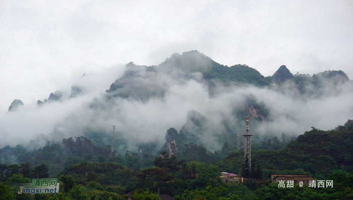 雨后的云雾山,仙境般存在人间。 - 靖西网