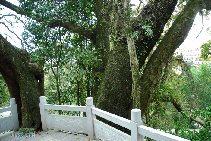 又是一年山岳山：宾山 - 靖西网