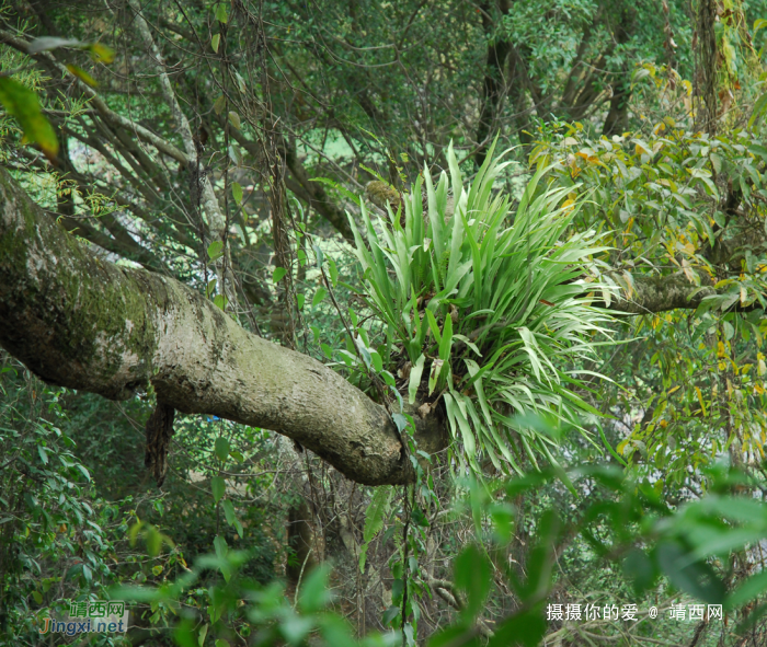 又是一年山岳山：宾山 - 靖西网