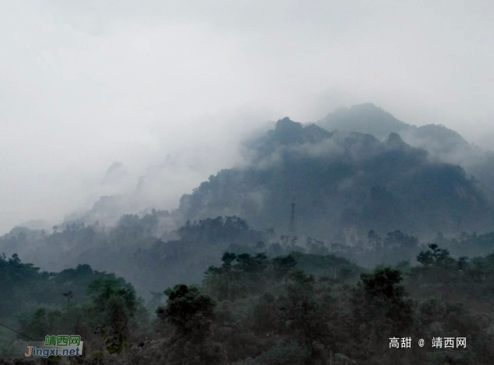 雨后的云雾山,仙境般存在人间。 - 靖西网