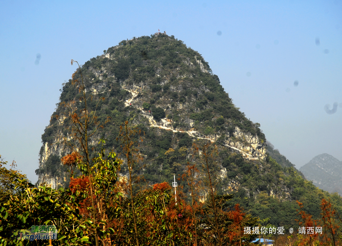 金山，你怎么啦？ - 靖西网