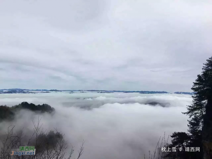 和同事的张家界上山下海游记 - 靖西网 - 第2页