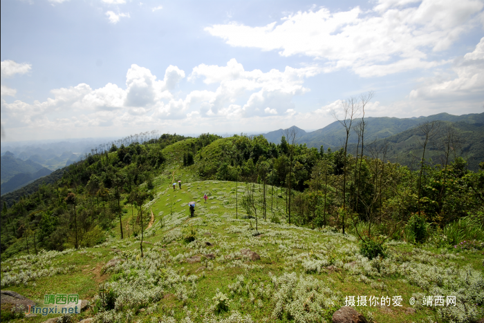 又是一年山岳山：恐怖的乌鸦山 - 靖西网 - 第5页