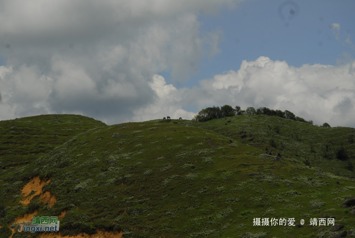 又是一年山岳山：恐怖的乌鸦山 - 靖西网