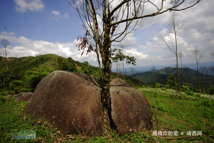 又是一年山岳山：恐怖的乌鸦山 - 靖西网 - 第3页