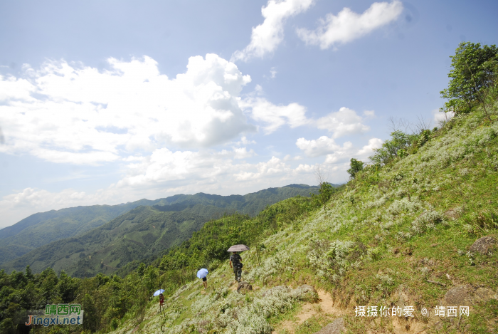 又是一年山岳山：恐怖的乌鸦山 - 靖西网 - 第3页