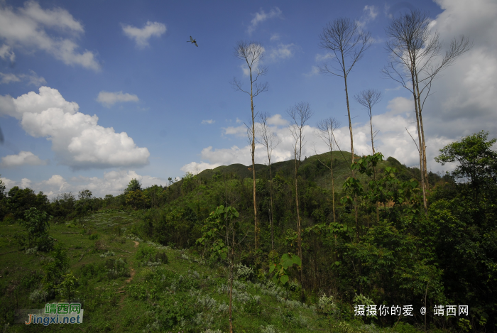 又是一年山岳山：恐怖的乌鸦山 - 靖西网 - 第4页