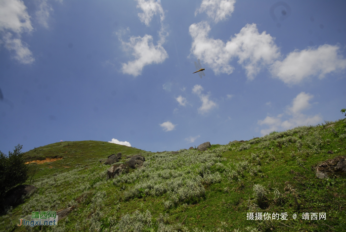 又是一年山岳山：恐怖的乌鸦山 - 靖西网 - 第4页