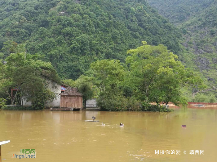 大雨后的鹅泉，今儿的鹅泉 - 靖西网