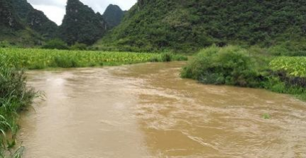 大暴雨夜袭靖西 河流水位暴涨农田被淹 - 靖西网