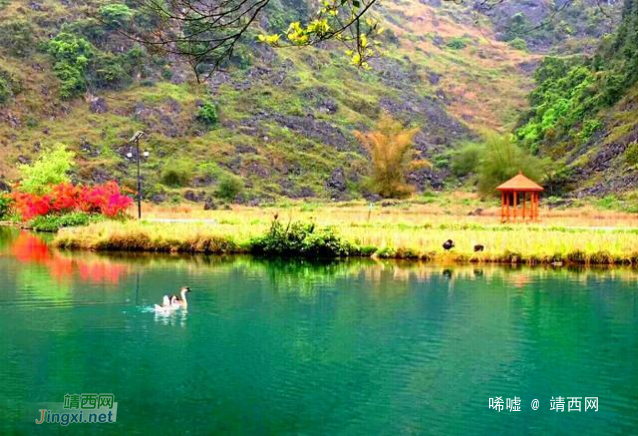 美若画卷,惊艳世人!广西700年永不干涸的靖西鹅泉,宁静乐园超美 - 靖西网 美若画卷,惊艳世人!广西700年永不干涸的靖西鹅泉,宁静乐园超美 - 靖西网