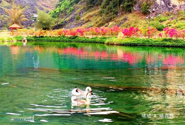美若画卷,惊艳世人!广西700年永不干涸的靖西鹅泉,宁静乐园超美 - 靖西网 美若画卷,惊艳世人!广西700年永不干涸的靖西鹅泉,宁静乐园超美 - 靖西网