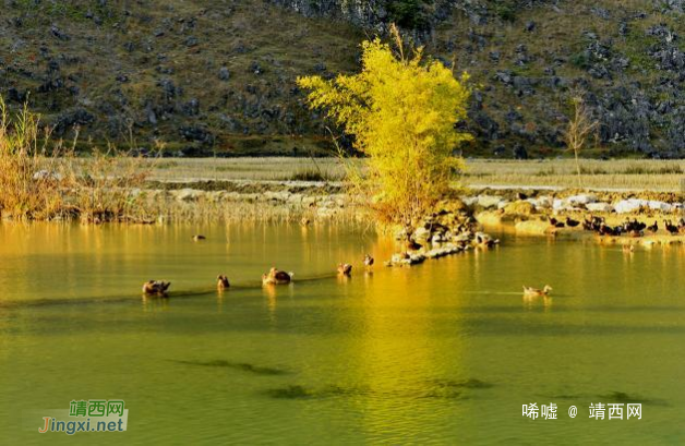 美若画卷,惊艳世人!广西700年永不干涸的靖西鹅泉,宁静乐园超美 - 靖西网 美若画卷,惊艳世人!广西700年永不干涸的靖西鹅泉,宁静乐园超美 - 靖西网
