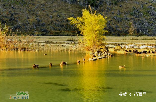 美若画卷,惊艳世人！广西700年永不干涸的靖西鹅泉，宁静乐园超美 - 靖西网