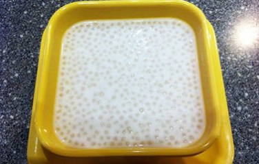 时令爆款饮品:芒果椰汁西米露 - 靖西网 时令爆款饮品:芒果椰汁西米露 - 靖西网