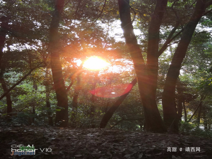 七彩森林 - 靖西网