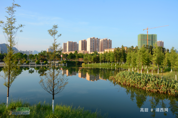 龙潭河的夏日之晨 - 靖西网