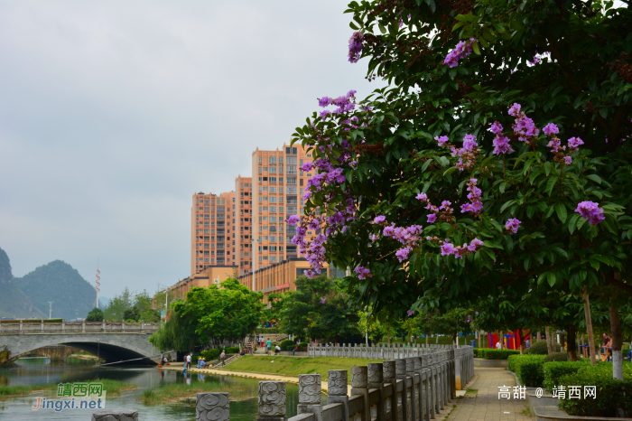 龙潭河的夏日之晨 - 靖西网