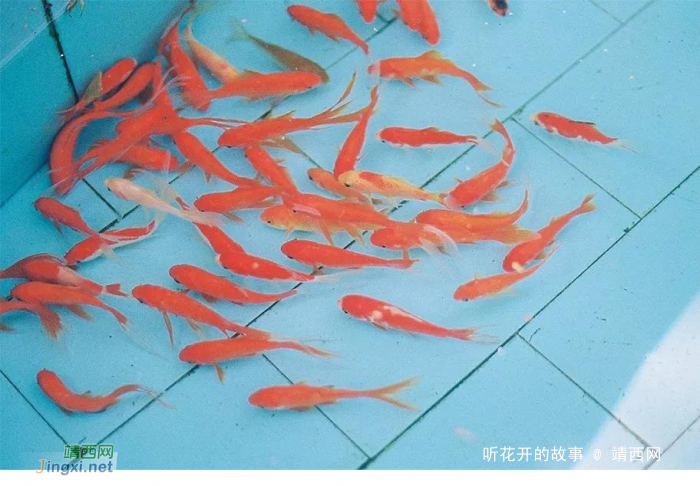 家教和门风,浸润孩子的一生 - 靖西网 家教和门风,浸润孩子的一生 - 靖西网
