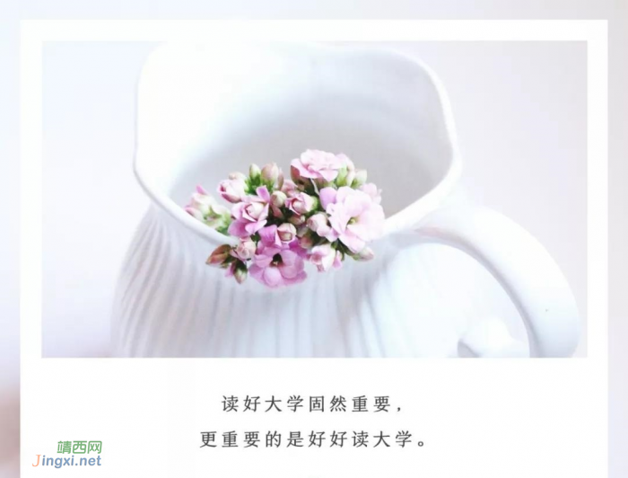 上不了好大学,但你可以好好上大学 - 靖西网 上不了好大学,但你可以好好上大学 - 靖西网