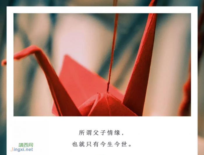 一位父亲的手记:1个好父亲等于200个老师 - 靖西网 一位父亲的手记:1个好父亲等于200个老师 - 靖西网