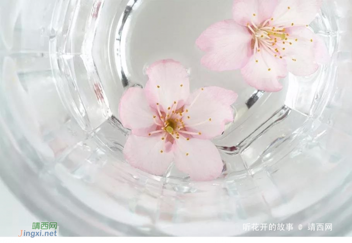 心态,是最好的本钱 - 靖西网 心态,是最好的本钱 - 靖西网