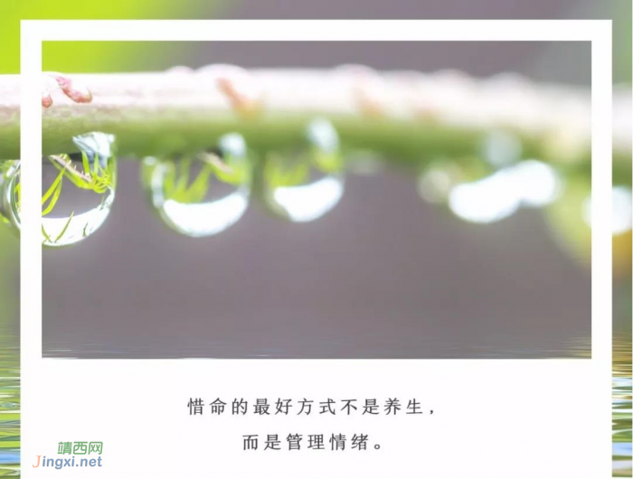 脾气越温,福报越深 - 靖西网 脾气越温,福报越深 - 靖西网