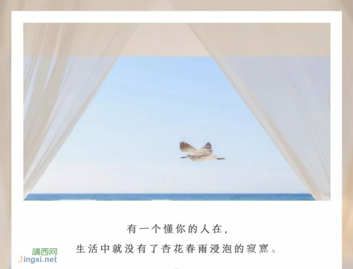 请找一个懂你的人去爱 - 靖西网 请找一个懂你的人去爱 - 靖西网