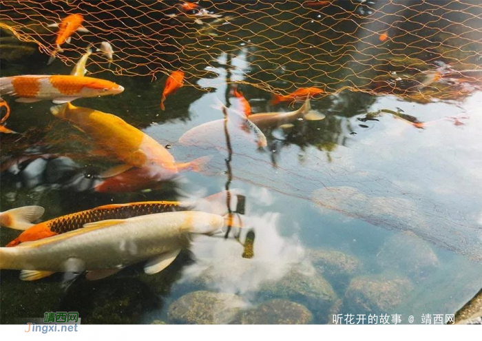 你可以不去扎人,但身上必须有刺 - 靖西网 你可以不去扎人,但身上必须有刺 - 靖西网