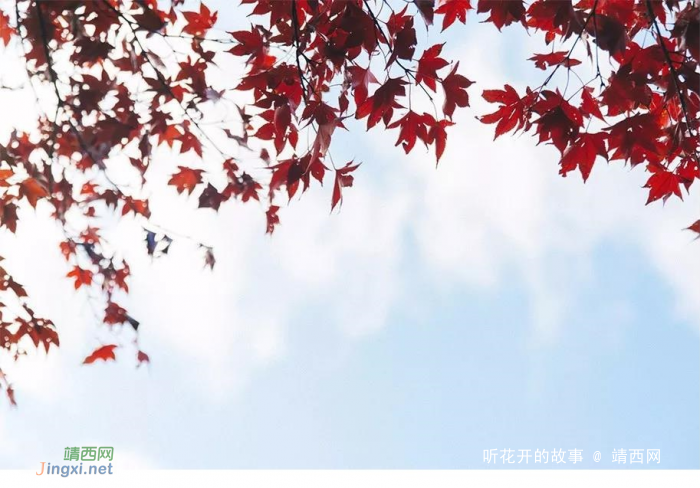 长大后,才发现这4个道理都是真的 - 靖西网 长大后,才发现这4个道理都是真的 - 靖西网