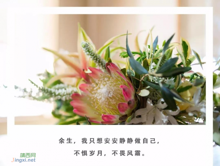 余生,寻一杯茶,静而不争 - 靖西网 余生,寻一杯茶,静而不争 - 靖西网