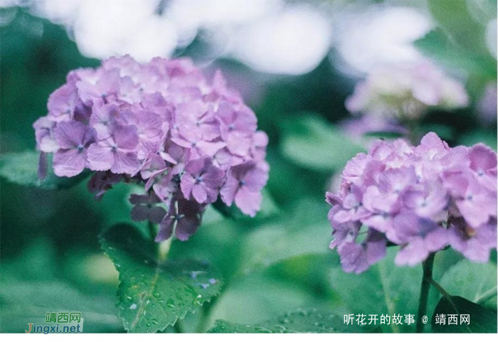 格局越大,人生越宽 - 靖西网 格局越大,人生越宽 - 靖西网