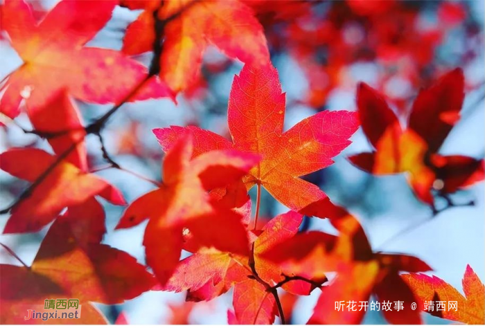 半生已过,学会放过 - 靖西网 半生已过,学会放过 - 靖西网