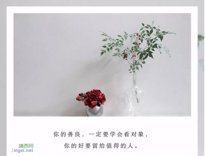 你可以不去扎人,但身上必须有刺 - 靖西网 你可以不去扎人,但身上必须有刺 - 靖西网