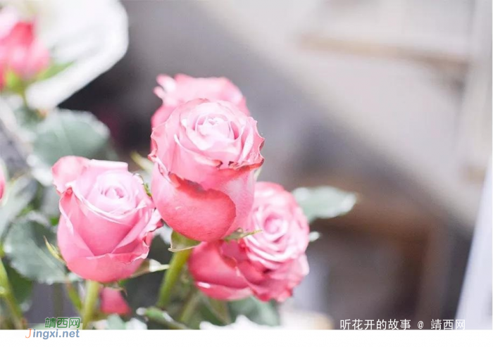 工作本身,就是一种修行 - 靖西网 工作本身,就是一种修行 - 靖西网