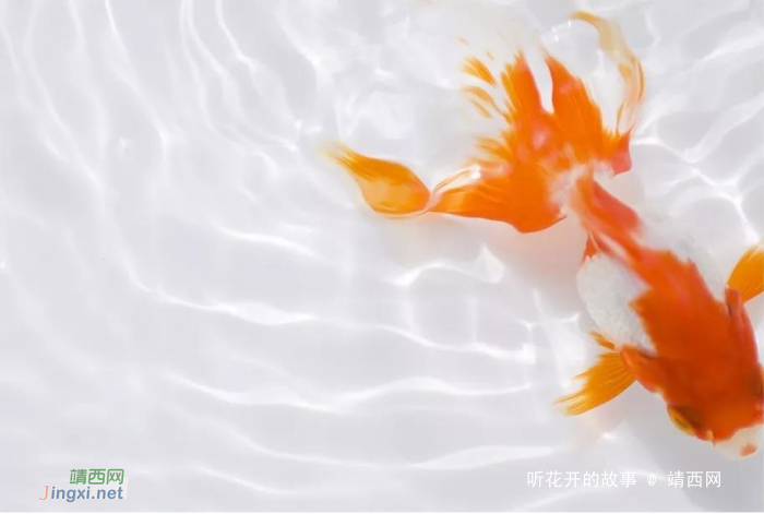 心态,是最好的本钱 - 靖西网 心态,是最好的本钱 - 靖西网