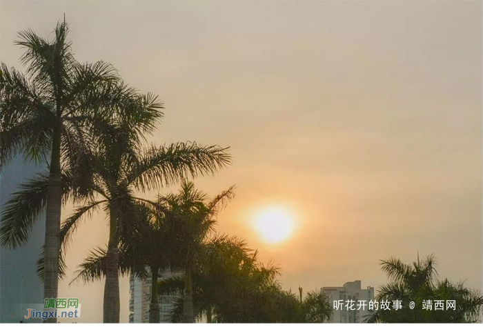 哪有什么岁月静好,每个成年人都是劫后余生 - 靖西网 哪有什么岁月静好,每个成年人都是劫后余生 - 靖西网