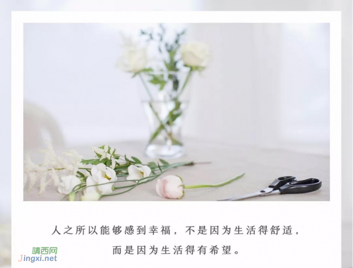 拥有“共情力”,三观不同也能做朋友 - 靖西网 拥有“共情力”,三观不同也能做朋友 - 靖西网