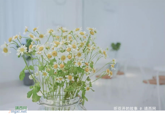 做人太诚实,未必是好事 - 靖西网 做人太诚实,未必是好事 - 靖西网