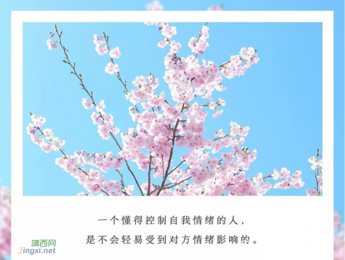先学会不生气,再学会气死人 - 靖西网 先学会不生气,再学会气死人 - 靖西网