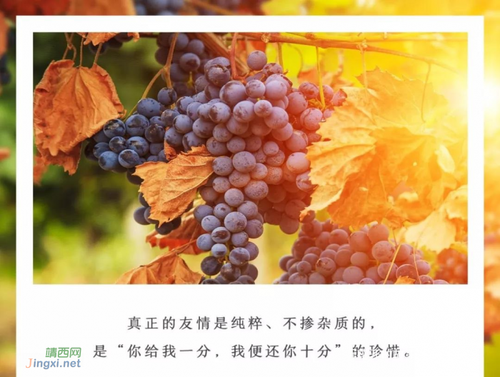关系再好,也不要走得太近 - 靖西网 关系再好,也不要走得太近 - 靖西网