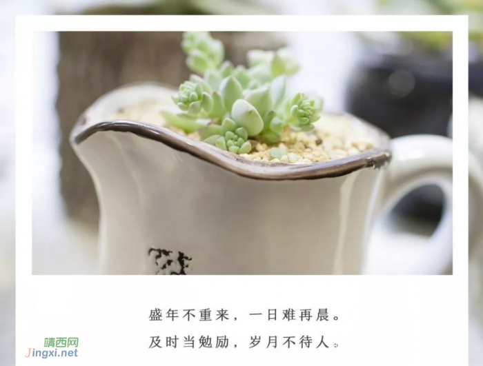 你怎么过早晨,就怎么过一生 - 靖西网 你怎么过早晨,就怎么过一生 - 靖西网
