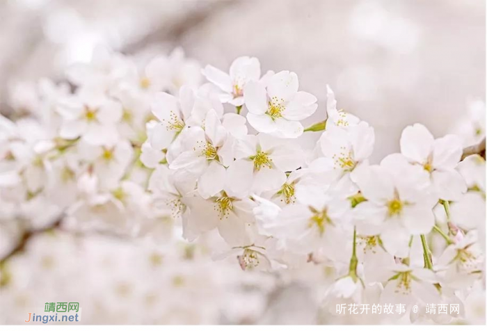 史铁生:我总相信真理在女人一边 - 靖西网 史铁生:我总相信真理在女人一边 - 靖西网