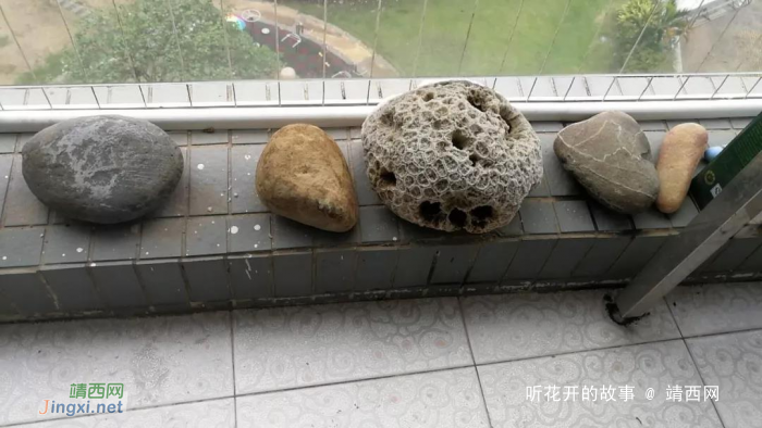 一位父亲的手记:1个好父亲等于200个老师 - 靖西网 一位父亲的手记:1个好父亲等于200个老师 - 靖西网