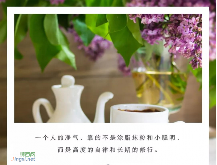 人有净气,风雅自来 - 靖西网 人有净气,风雅自来 - 靖西网